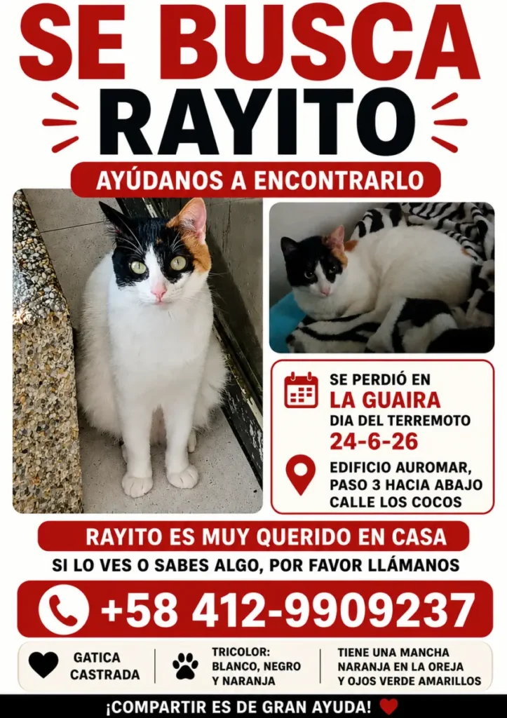 Rayito