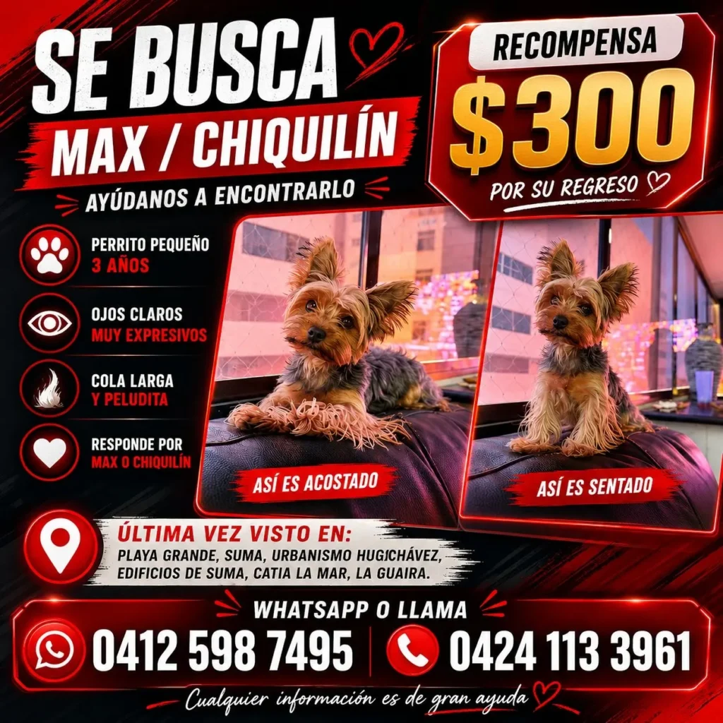 Max (Chiquilin)