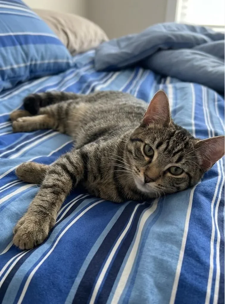 Milo
