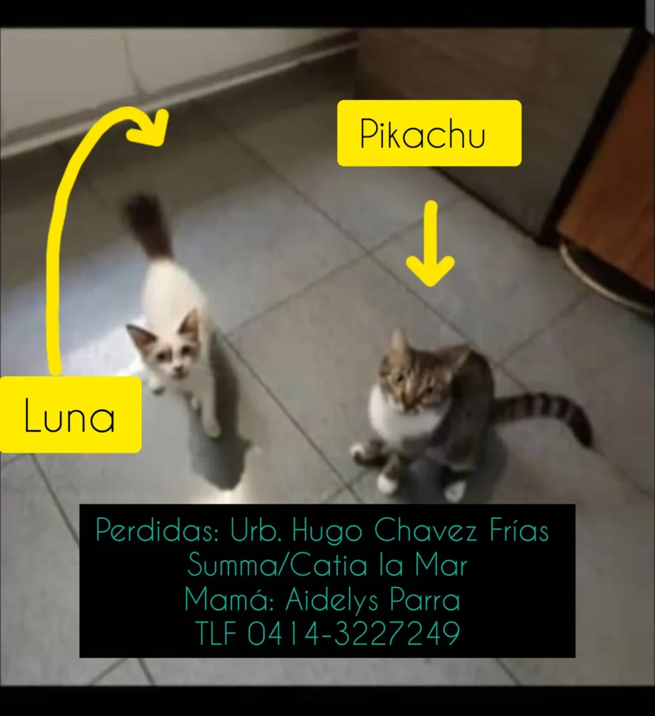 Luna y Pikachu