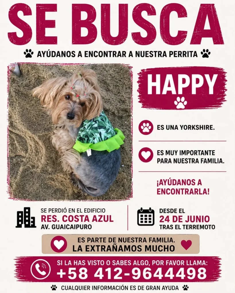Happy, Cuzco  y wisky