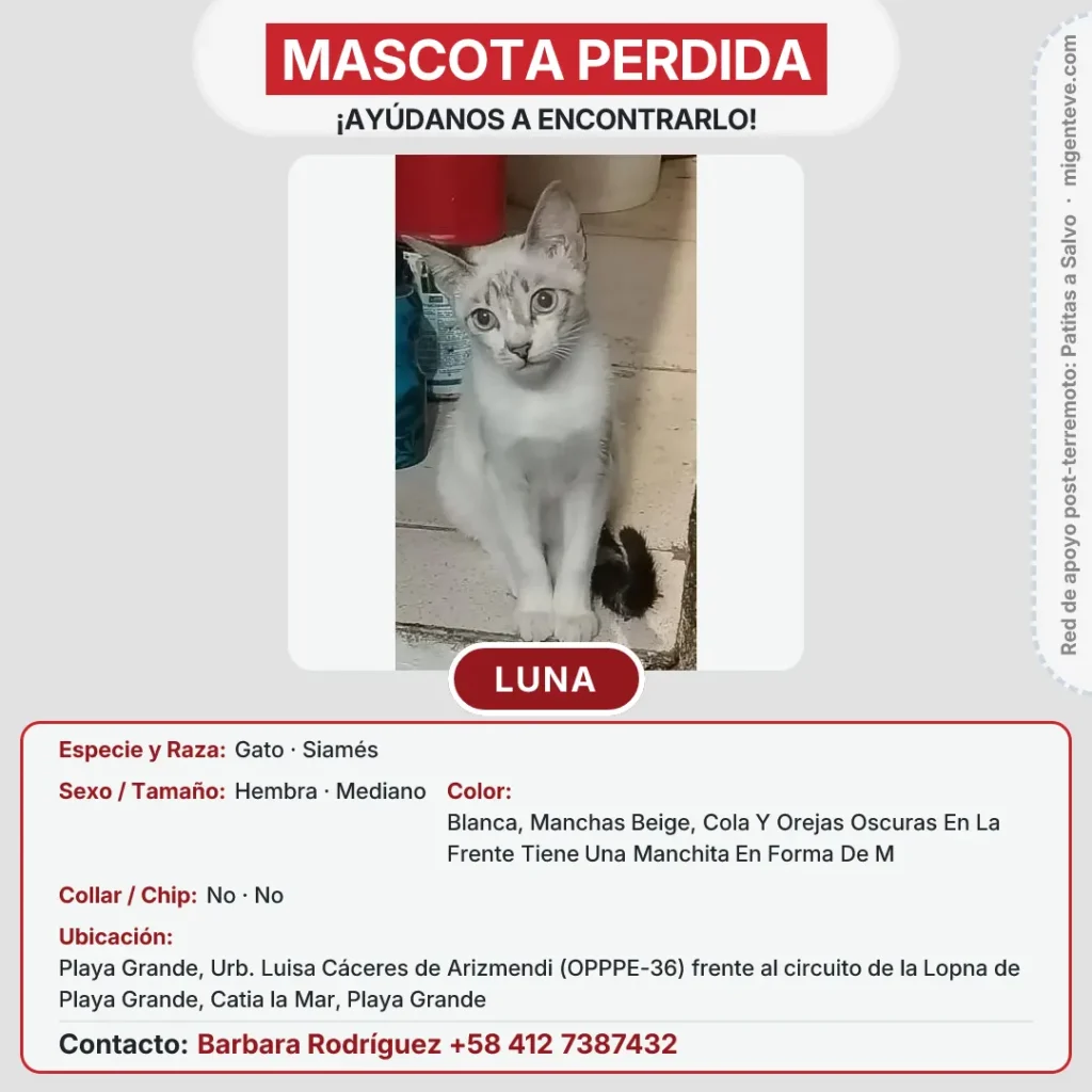 Luna o Niña