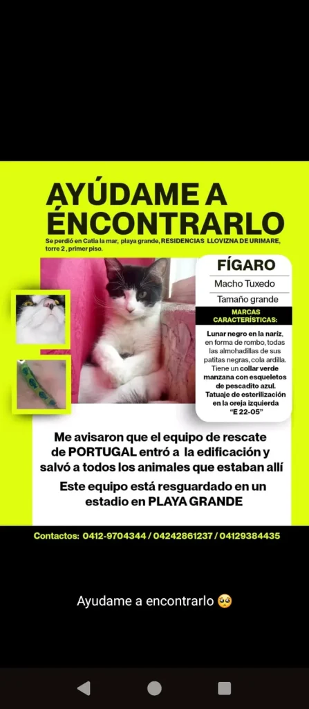 Figaro