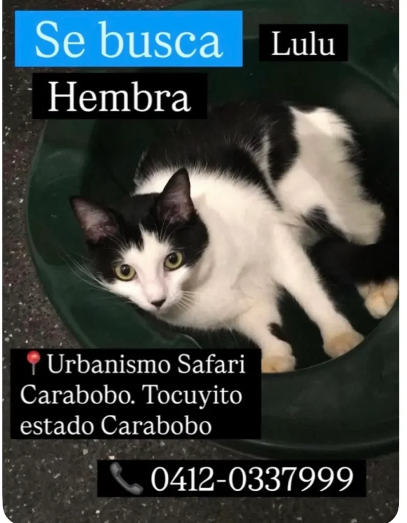 Lulú