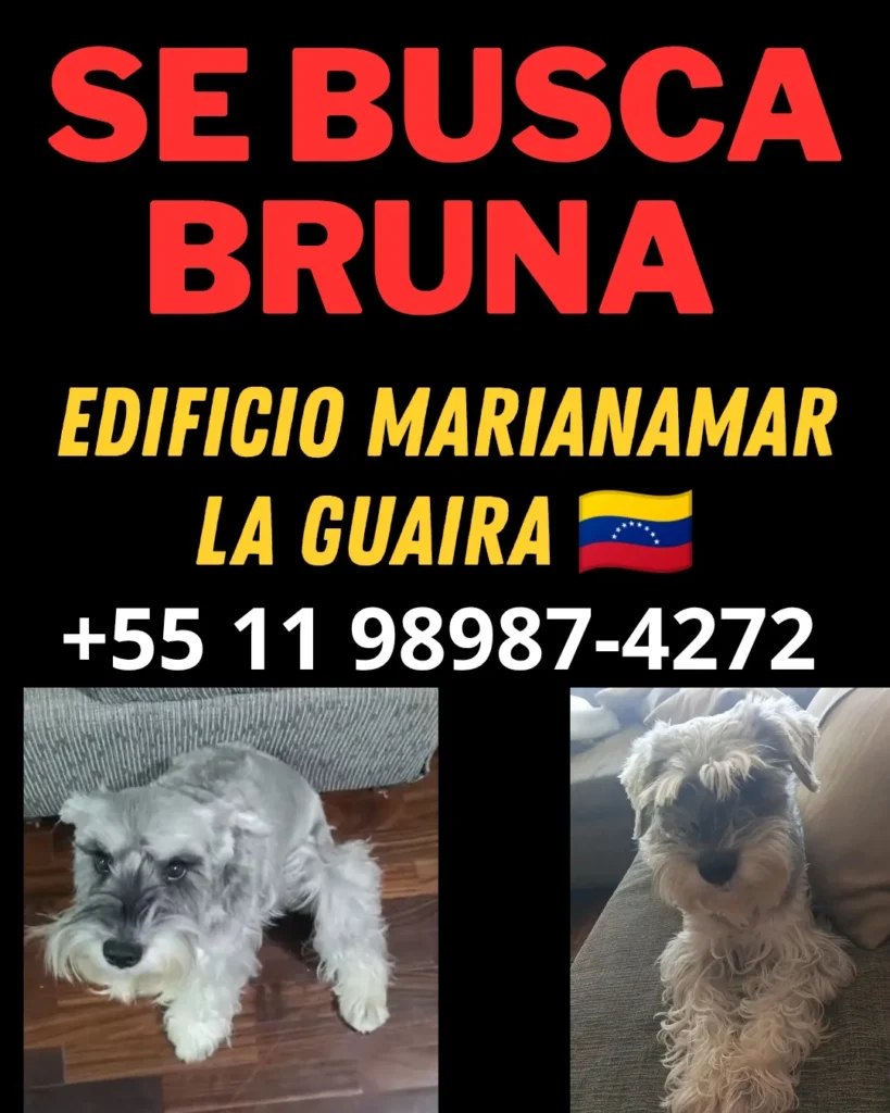 Bruna