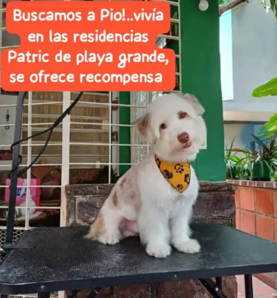 Piotr