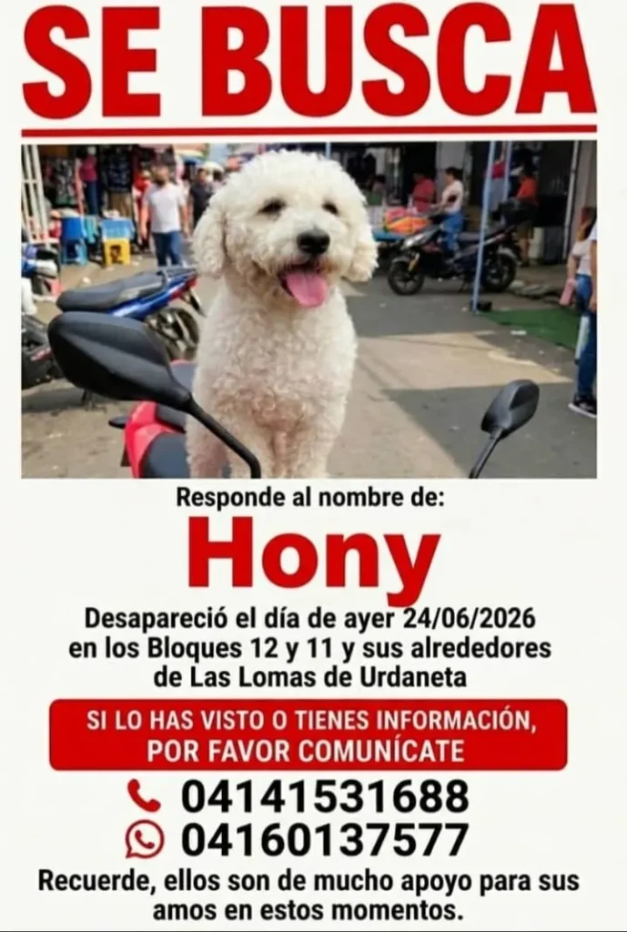 Hony