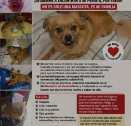 perdido en La Guaira