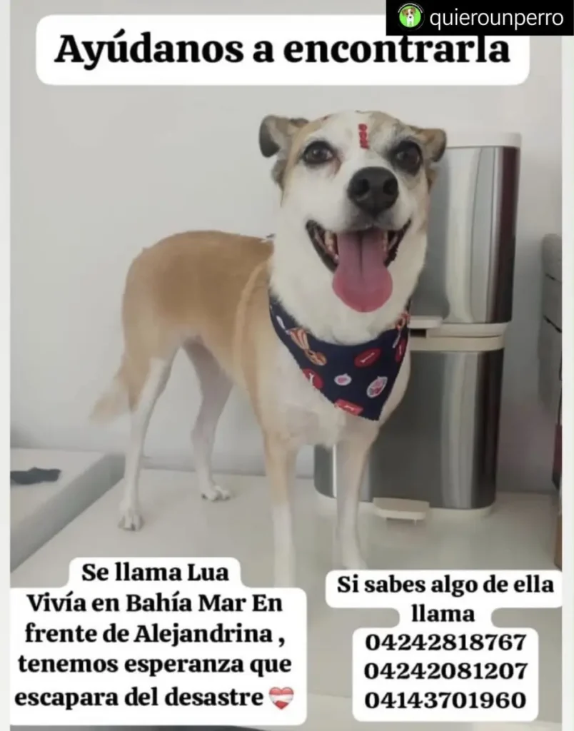 Lua