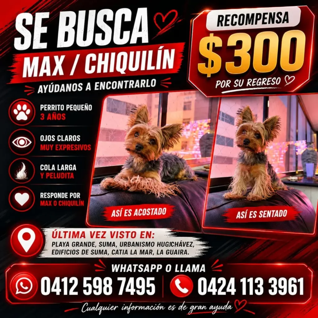 Max (Chikilin)
