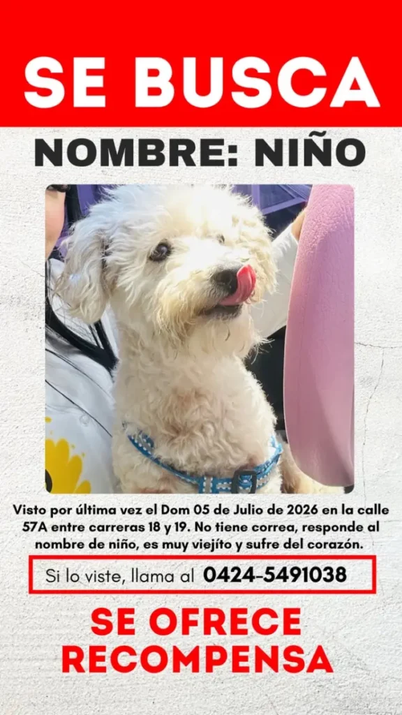 Niño