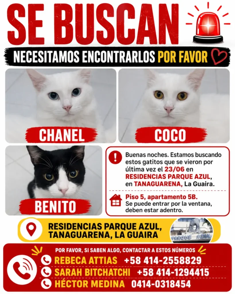 Chanel, Coco y Benito