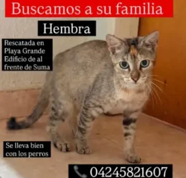 encontrado en La Guaira