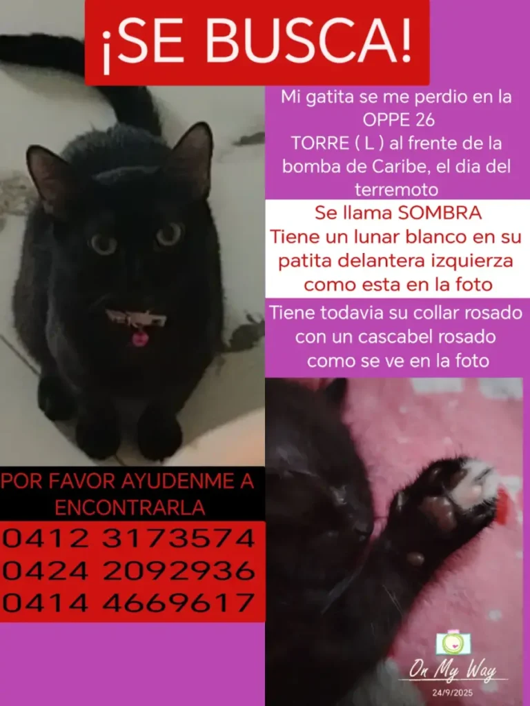 SOMBRA