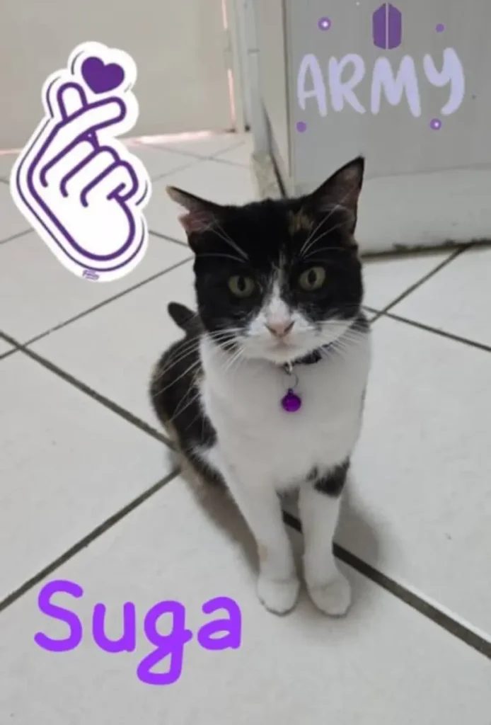 Suga