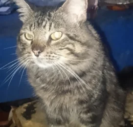 perdido en La Guaira
