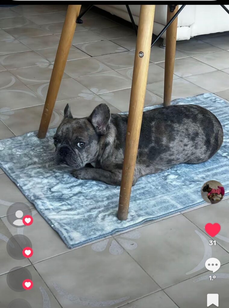 Nella