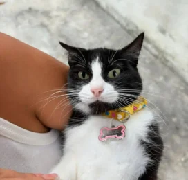 perdido en La Guaira