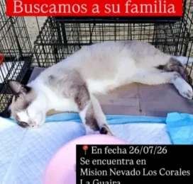 encontrado