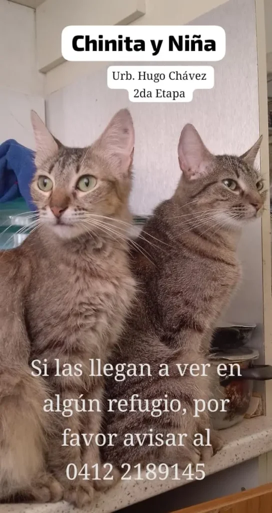 Chinita y Niña