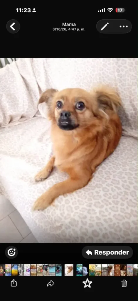Lulu