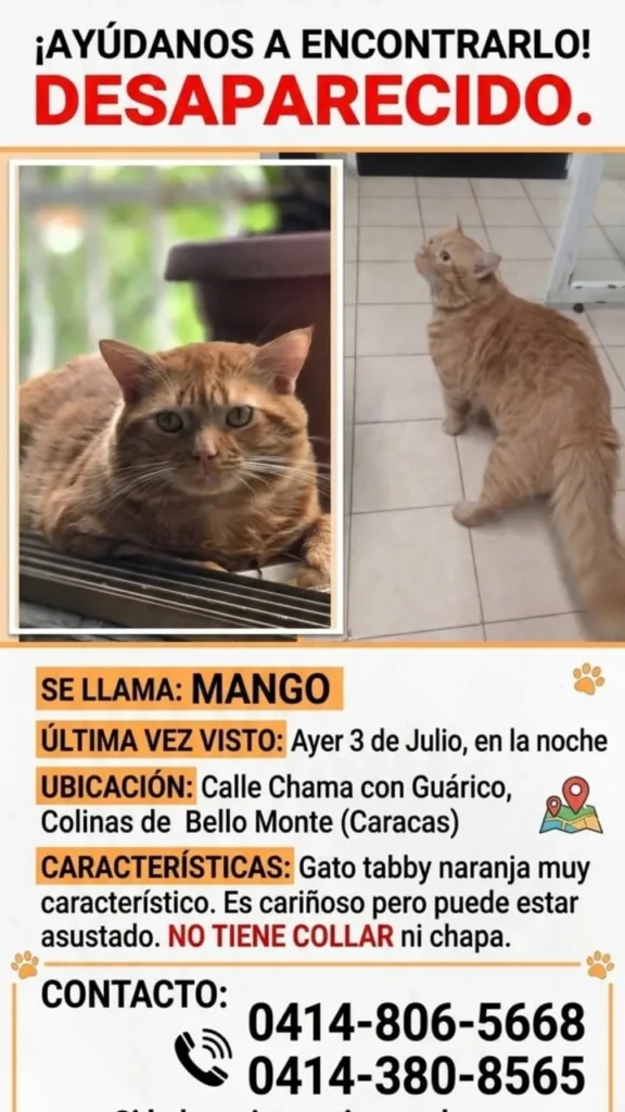 Mango