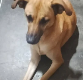 perdido en La Guaira