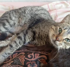 perdido en La Guaira