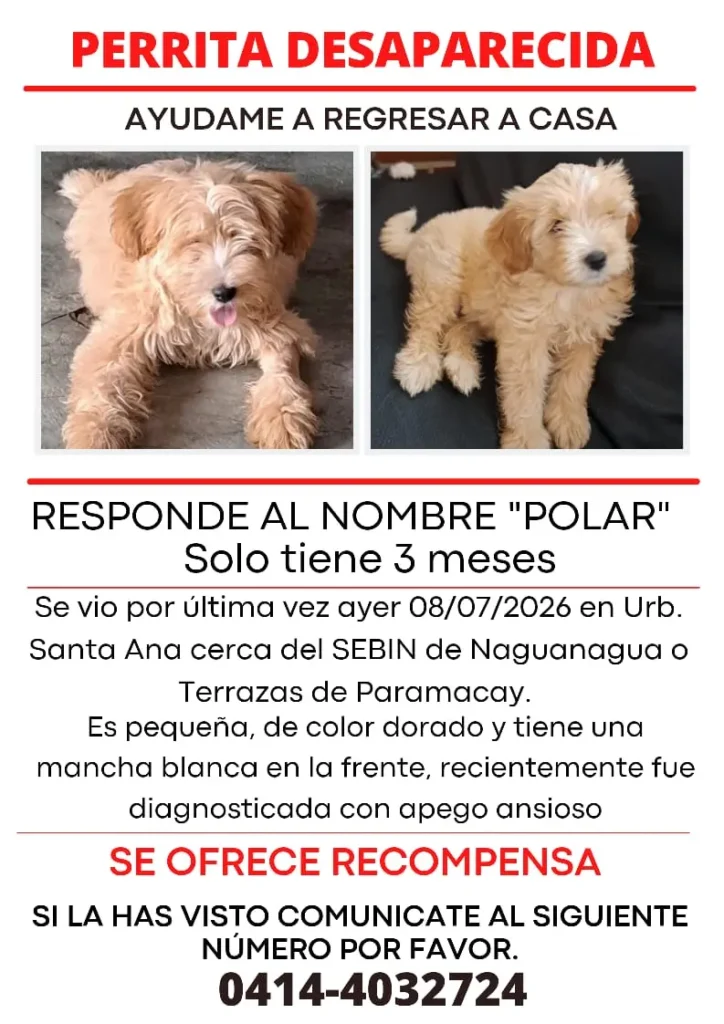 Polar