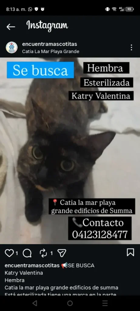 Katry Valentina