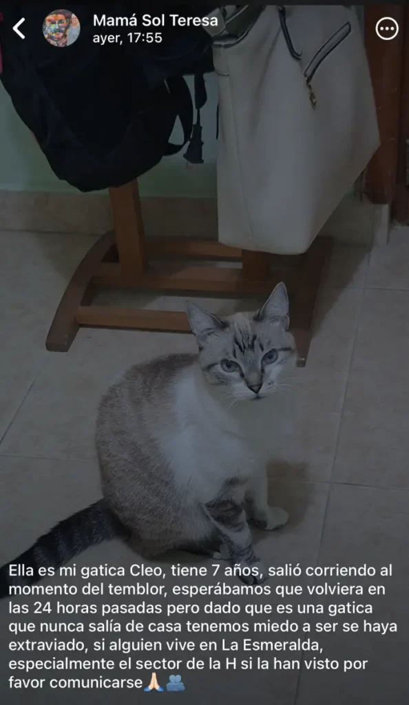 Cleo