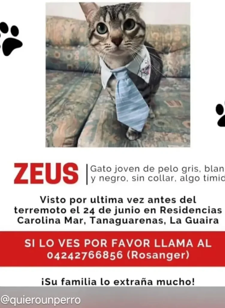 Zeus