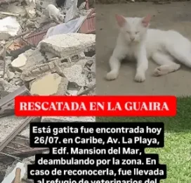 encontrado