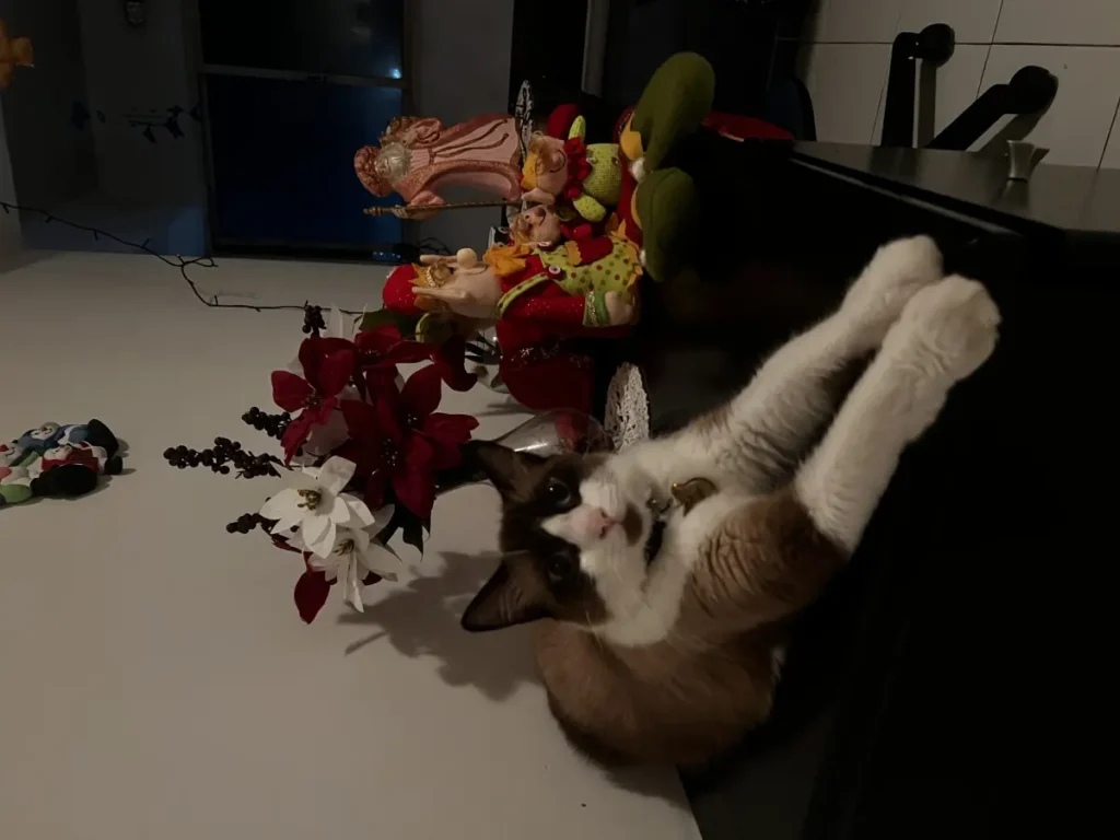 Michi