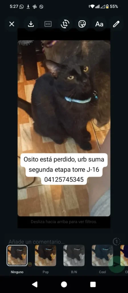 Osito