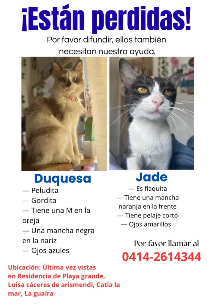 duquesa y jade