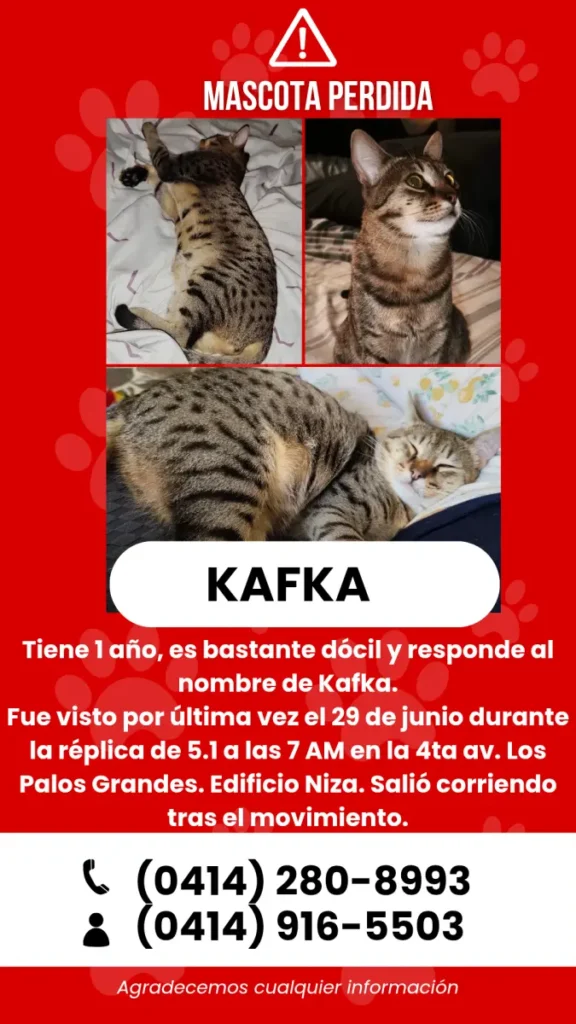 Kafka