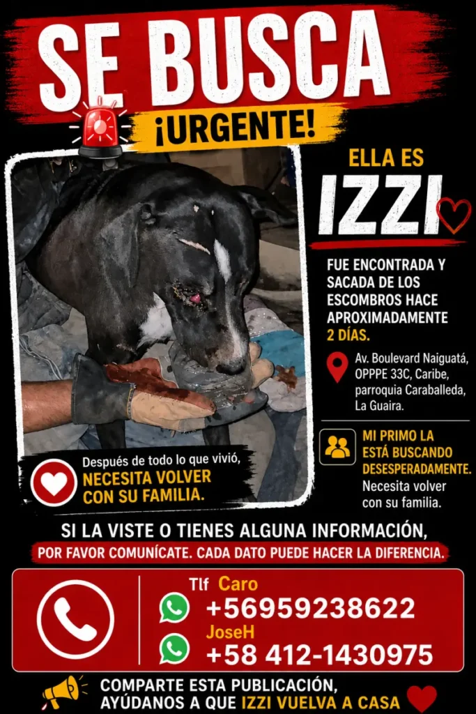 Izzi