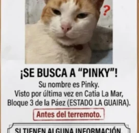 perdido en La Guaira