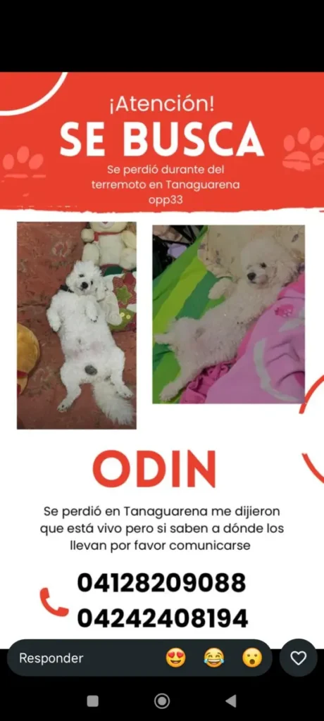 ODIN