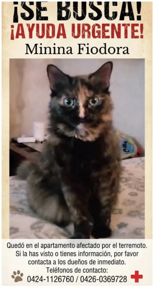 Fiodora
