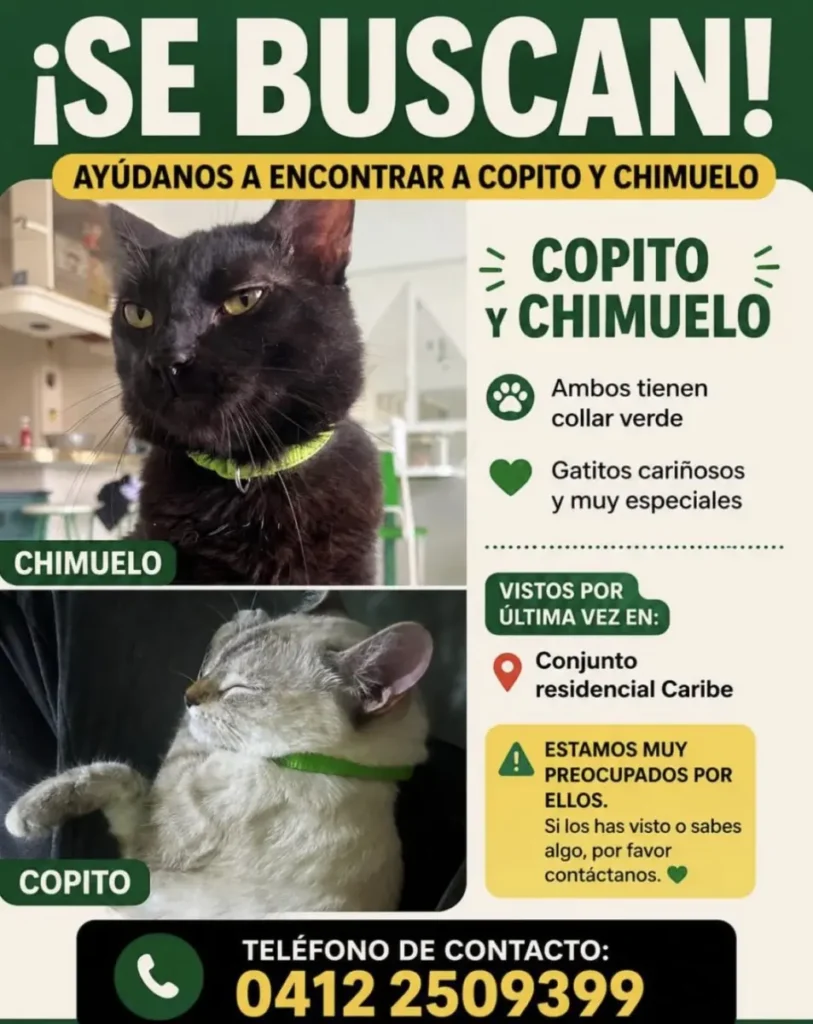 COPITO Y CHIMUELO