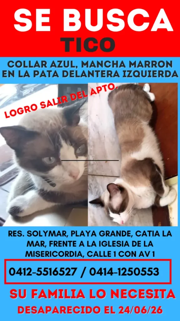 Tico