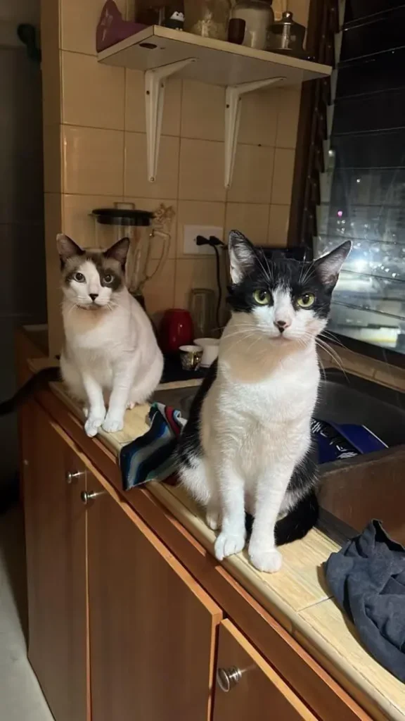 Niño y Niña