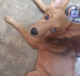 perdido en La Guaira