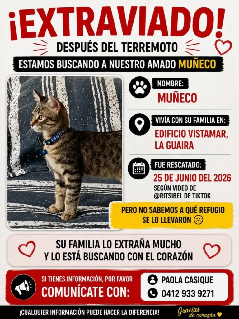 Muñeco