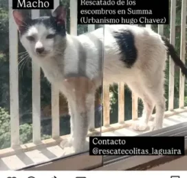 encontrado