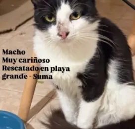 encontrado en La Guaira