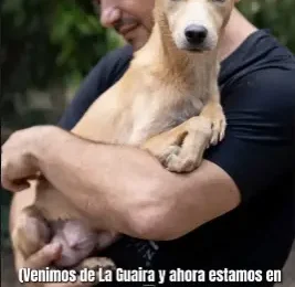 encontrado