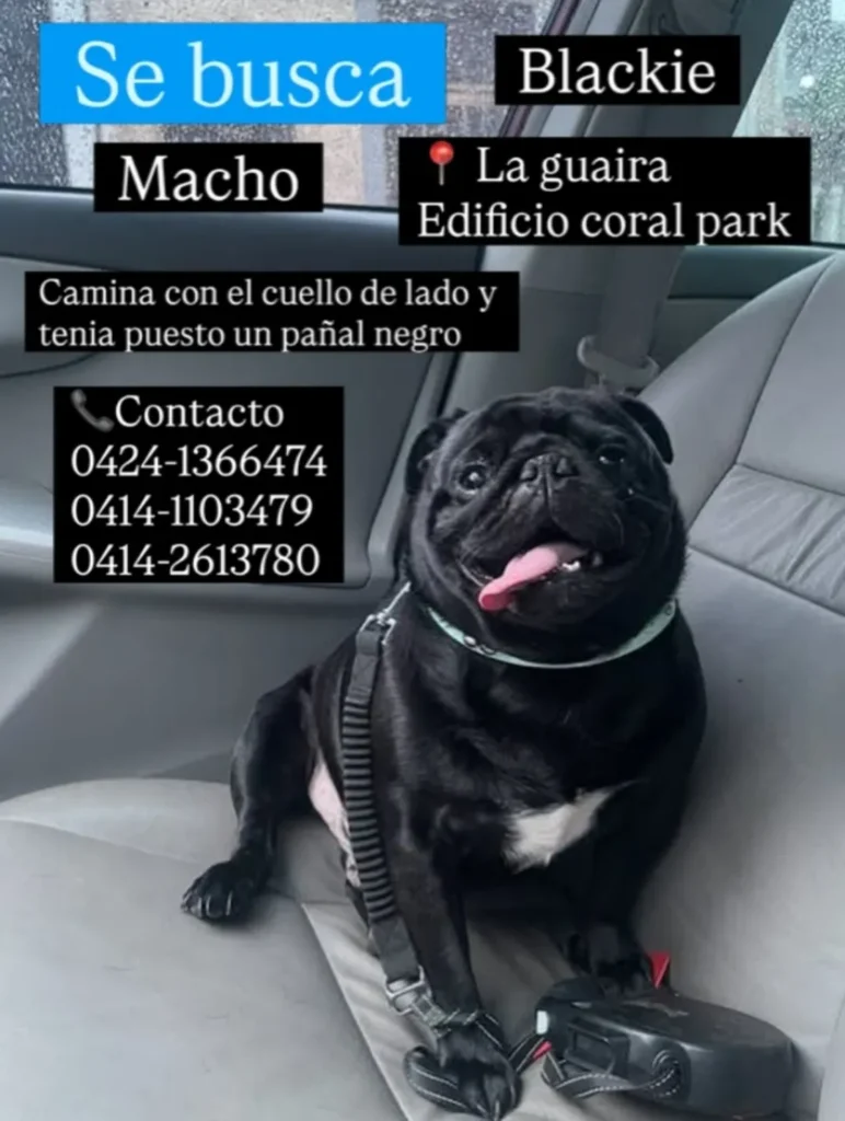 Blackie